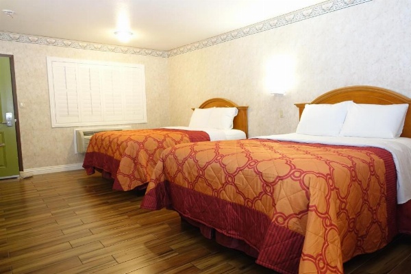 Tropic Lodge image 22